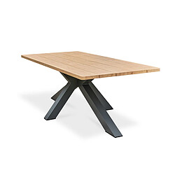 Table de jardin