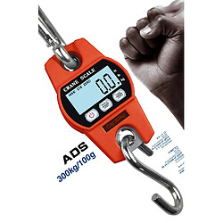 INF Balance de Suspension Numérique 300KG avec Écran LCD - Balance de Grue Haute Précision Ora pas cher