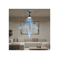 Avis Philips Olas 30 - Noir
