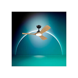 Ventilateur