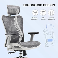 SIHOO M57 Gris clair – Chaise ergo, accoudoirs 3D, soutien lombaire réglable pas cher