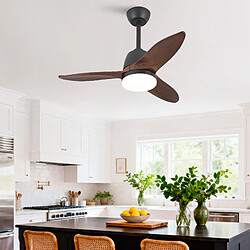 Acheter MIVRAY Ventilateur de plafond LED, flux réversible, bois, noir et noyer foncé