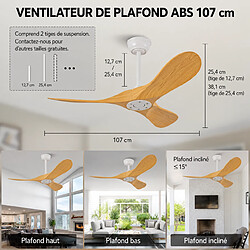 MIVRAY Ventilateur de plafond sans lumière, télécommande ABS blanc et naturel pas cher
