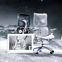 Acheter SIHOO Doro S300 noir – Chaise ergonomique – Accoudoirs 6D – Soutien lombaire dynamique
