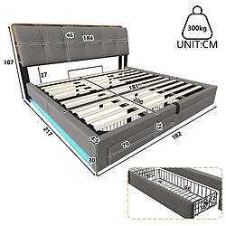 Avis Lit Coffre 180x200 cm - Modenvie - rangement hydraulique avec USB-C - Lin - Gris