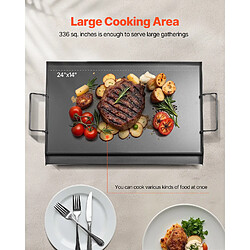 Acheter VEVOR Plaque de cuisson en acier au carbone poêle à griller 605 x 360 mm noir