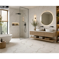 Avis Protocole Home SPC-201 - Blanc/Gris - 600 x 1200 mm