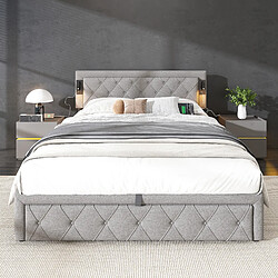 Acheter MIVRAY Lit coffre adulte 160x200 cm avec USB et éclairage, tête de lit capitonnée, lin gris