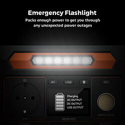 Acheter Générateur Électrique FLASHFISH P66-A