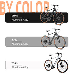 Vélo électrique YANGOR H700,moteur 36V 250W,36V 8.7AH,Gris pas cher