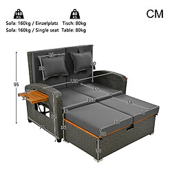 MIVRAY Fauteuil de jardin dossier réglable, repose pieds avec rangement rotin gris pas cher