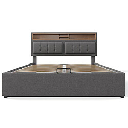 Acheter MIVRAY Lit Coffre Adulte 160x200 Cm Rangement Et Tête De Lit Réglable Avec USB-C, Lin, Gris