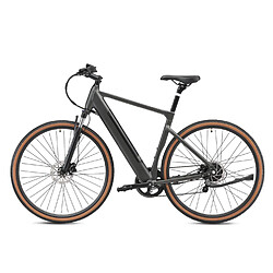 Avis Vélo électrique YANGOR H700,moteur 36V 250W,36V 8.7AH,Gris