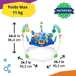 Avis Baby einstein aire de jeux bébé – Multicolore