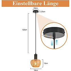 Acheter Nettlife Suspension rotin boho 1 lumière - Noir