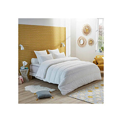 Couette & couverture