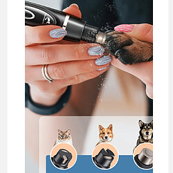 Hygiène & soin pour chien