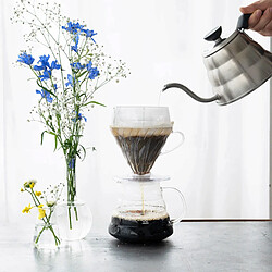 Carafe filtrante
