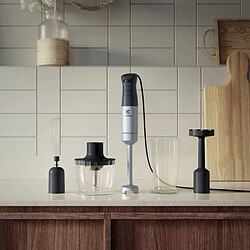 Avis Blender Electrolux Create 5 E5HB1-6SS