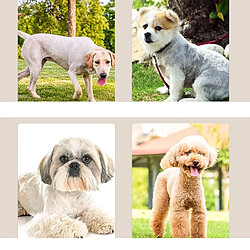 Acheter INF Tondeuse Électrique Numérique pour Animaux de Compagnie - Soin des Pattes et Toilettage