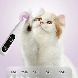 Hygiène & soin pour chien