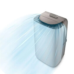 Acheter Climatiseur Delonghi PACAP120 GENTLEJET