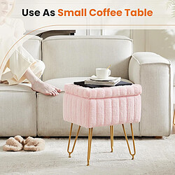 Avis ZMH Tabouret Avec Rangement Tabouret De Salon Moderne Pour Couloir Chambre