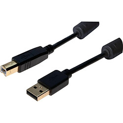 Dexlan Cordon USB 2.0 type A / B avec ferrites noir - 5,0 m 