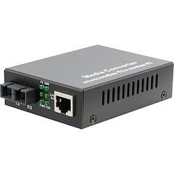 Dexlan Convertisseur Fibre Gigabit SC Duplex Monomode 20km / RJ45 10/100/1000 