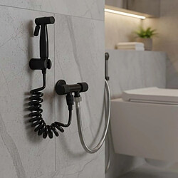 Avis Avizar Douchette Multifonction avec Flexible Spiralé et Robinet d'Arrêt Noir