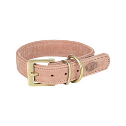 Collier pour chien