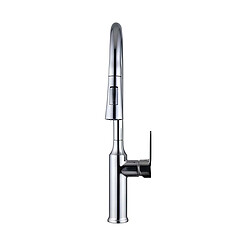 Avizar Robinet de Cuisine Extensible avec Embout Rétractable Flexible Argent