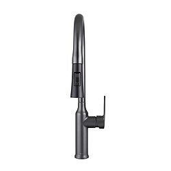 Avizar Robinet de Cuisine Extensible avec Embout Rétractable Flexible Noir / Argent