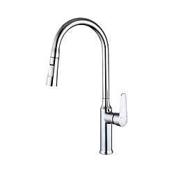 Avizar Robinet de Cuisine Extensible avec Embout Rétractable Flexible Argent