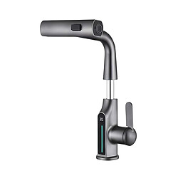 Avizar Robinet de Lavabo Extensible avec Affichage de Température LED Finition Métal Noir