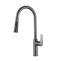 Avizar Robinet de Cuisine Extensible avec Embout Rétractable Flexible Noir / Argent