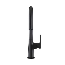 Avizar Robinet de Cuisine Extensible à Double Fonction Bec Haut Noir