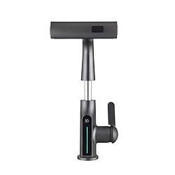 Avizar Robinet de Lavabo Extensible avec Affichage de Température LED Finition Métal Noir