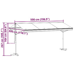 vidaXL Auvent autoportant Gris 5 x 3 m Polyester pas cher