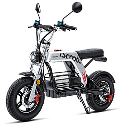 Motos électriques iScooter DX5 Pro 17" Pneu Moteur 2000W 52V 20AH