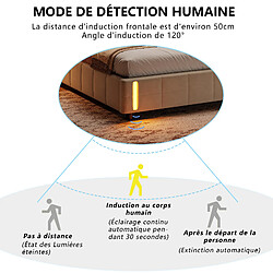 Avis MEXUS Lit coffre 140x200 cm, avec Lumière LED, Velours, Beige