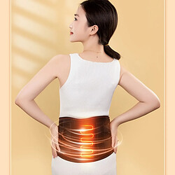 Acheter INF Ceinture de Massage Chauffante - Support Lombaire Électrique Chauffant et Vibratoire