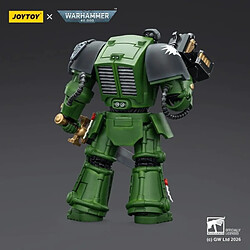 Acheter Warhammer 40k - Figurine Salamanders Terminator 1 with Power Sword and Storm Bolter 14 cm