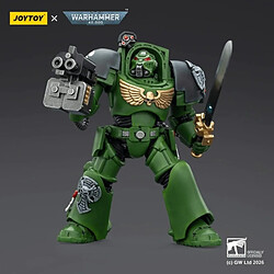 Avis Warhammer 40k - Figurine Salamanders Terminator 1 with Power Sword and Storm Bolter 14 cm