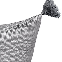 Coussin d'intérieur
