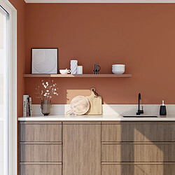 Avis 4murs Peinture Absolu - Cognac - 2,5 L