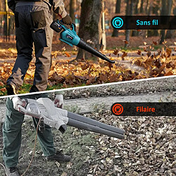 Acheter Souffleur feuilles sans fil - 2x21V 6Ah, brushless, vitesse var., 172 km/h, 3 buses