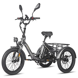 Vélo électrique Fafrees F20 Mate 20" Pneu Moteur 500W Freins Hydrauliques Doubles