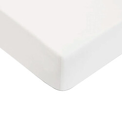 Future Home Drap housse uni en coton 57 fils blanc 90x190cm