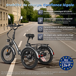 Vélo électrique Fafrees F20 Mate 20" Pneu Moteur 500W Charge Maximale 180Kg Gris pas cher